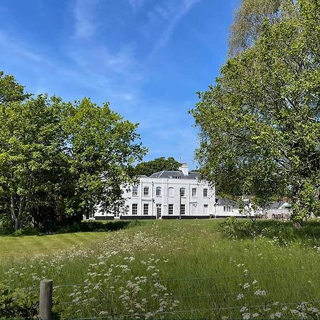 The Retreat New Forest, Hinton كرايستشيرش المظهر الخارجي الصورة