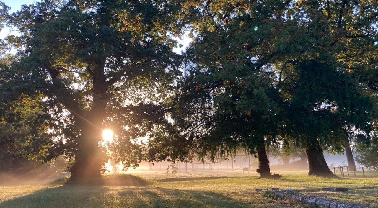 The Retreat New Forest, Hinton كرايستشيرش المظهر الخارجي الصورة